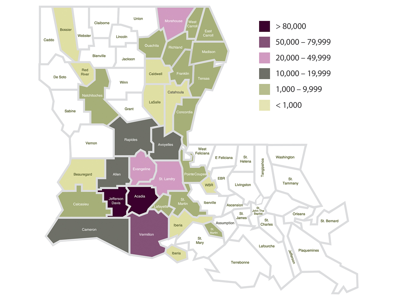 Rice harvest had good yields but facing major concerns